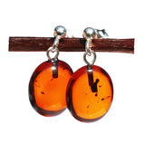 Baltic Amber Oval Studs - with sterling silver fittings.