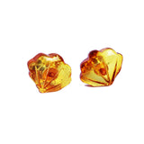 Handcarved Honey Baltic Amber Studs - Shells1
