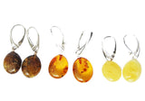 Baltic Amber Earrings - Ovals