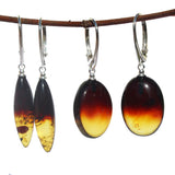 Beautiful Baltic Amber Earrings - RAINBOW