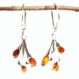 Honey Baltic Amber Earrings