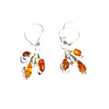 Honey Baltic Amber Earrings