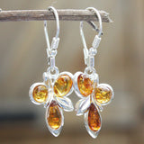 Baltic Amber Earrings - Trio