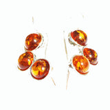 Baltic Amber Earrings - Triple Circles