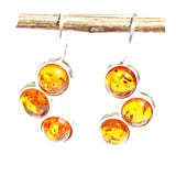 Baltic Amber Earrings - Triple Circles
