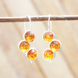Baltic Amber Earrings - Triple Circles