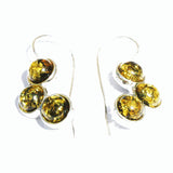 Baltic Amber Earrings - Triple Circles
