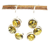 Baltic Amber Earrings - Triple Circles