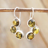 Baltic Amber Earrings - Triple Circles