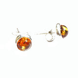 Round Honey Baltic Amber Studs