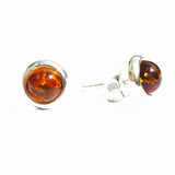 Round Honey Baltic Amber Studs