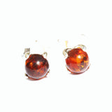 Honey Baltic Amber Stud Earrings