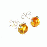 Honey Baltic Amber Stud Earrings