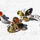 Baltic Amber Silver Studs - Trio