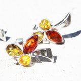 Baltic Amber Silver Studs - Trio