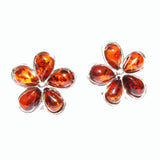 Baltic Amber Silver Studs - Flowers