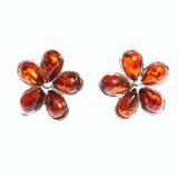 Baltic Amber Silver Studs - Flowers