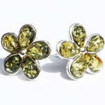 Baltic Amber Silver Studs - Flowers