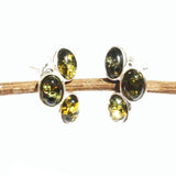 Baltic Amber Silver Studs - Trio