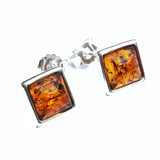 Baltic Amber Studs - Squares