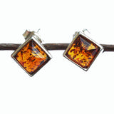 Baltic Amber Studs - Squares