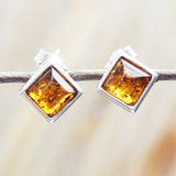 Baltic Amber Studs - Squares