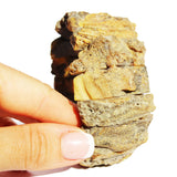 Unpolished Raw Grey-Honey Amber Bracelet