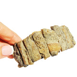 Unpolished Raw Grey-Honey Amber Bracelet