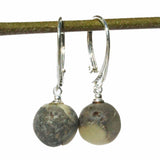 Unpolished Round Baltic Amber Earrings