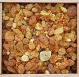 UnPolished Baltic Amber Beads with holes. (5mm-10mm)