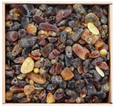 UnPolished Baltic Amber Beads with holes. (5mm-10mm)