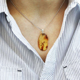 Beautiful & Unique Baltic Amber Zodiac Pendants